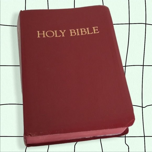 The New Revised Standard Verson Red Leather Childrens Bible with Maps - Picture 1 of 7